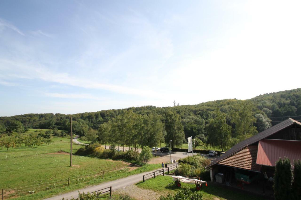 Ferienwohnung Edelbrenner Rimbach  Buitenkant foto
